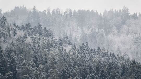 Winter in Baden-Württemberg