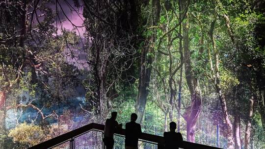 360-Grad-Panorama Amazonien