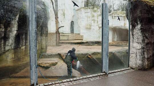 Verwüstungen im Karlsruher Zoo Verwüstungen im Karlsruher Zoo