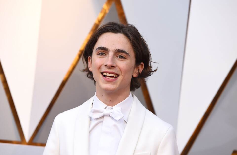 Timothée Chalamet bei Oscars 2018