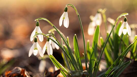 Frühlingswetter in Baden-Württemberg