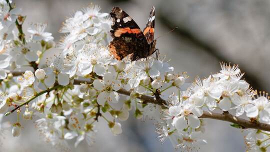 Wetter in Baden-Württemberg Wetter in Baden-Württemberg