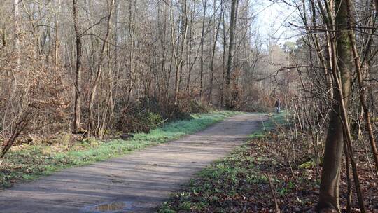 Tote in Mannheim Tote in Mannheim
