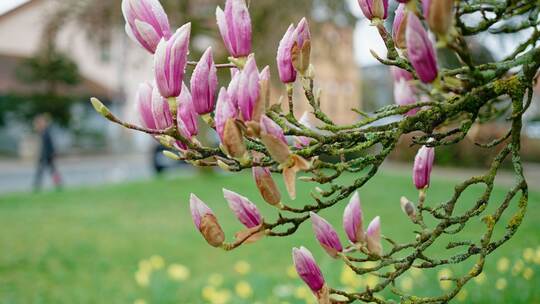 Wetter in Baden-Württemberg