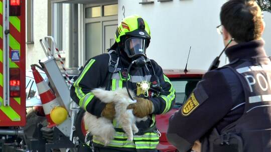 Feuerwehr rettet Katze aus verrauchter Wohnung