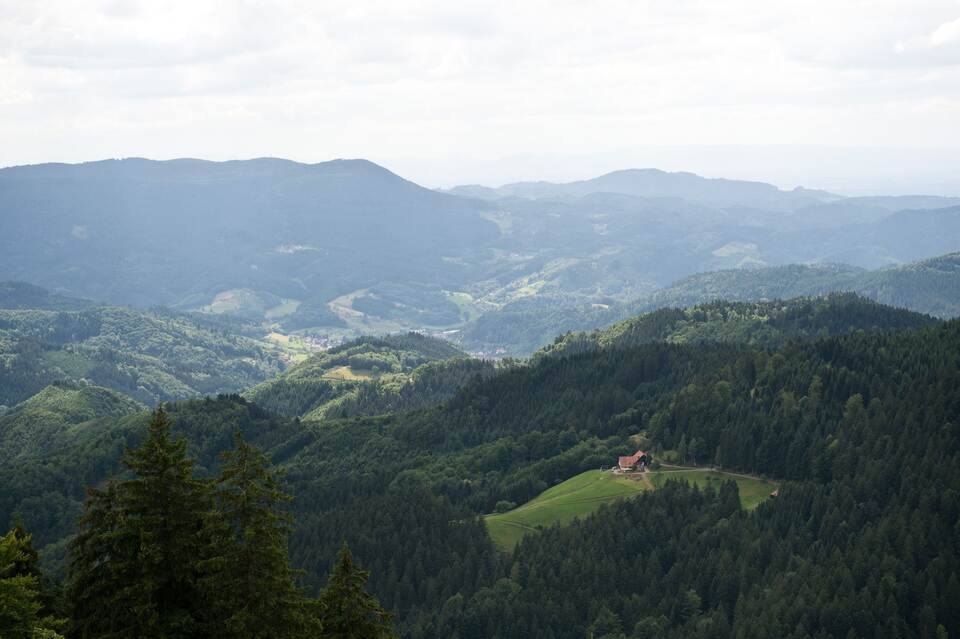 Nationalpark Schwarzwald