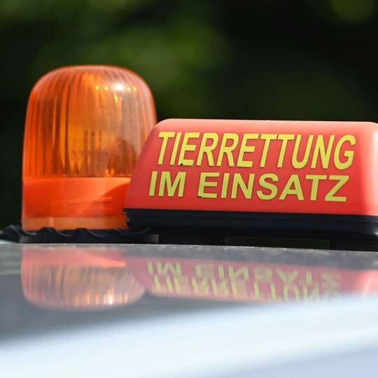 Tierrettung