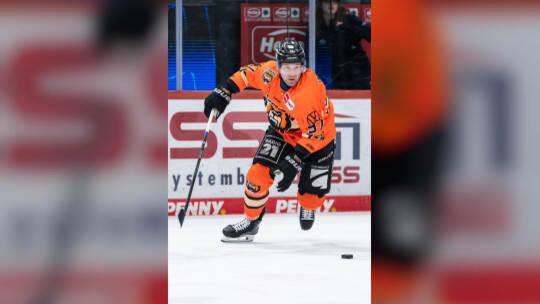 Schwenninger Wild Wings - Grizzlys Wolfsburg