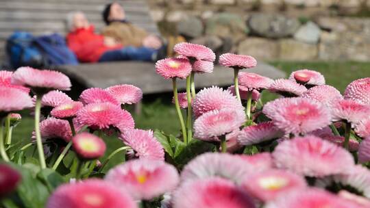 Wetter in Baden-Württemberg