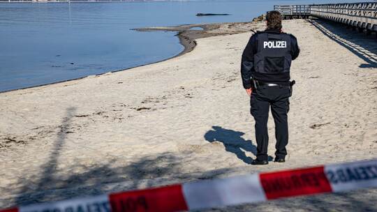 Wal an der Ostseeküste gestrandet – Rettung läuft