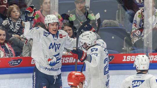 Eisbären Berlin - Adler Mannheim