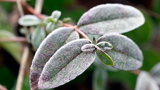 Wetter und Frost Wetter und Frost