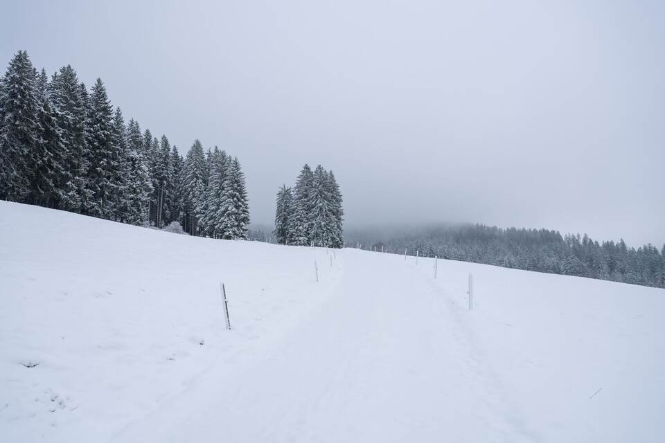 Wetter in Baden-Württemberg