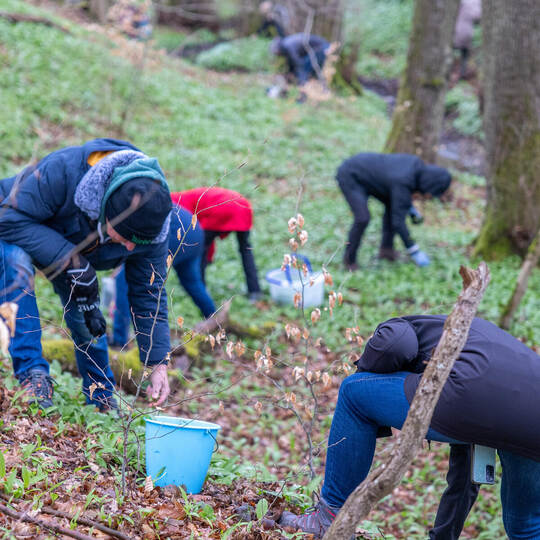 Bärlauchwanderung Roy Kieferle