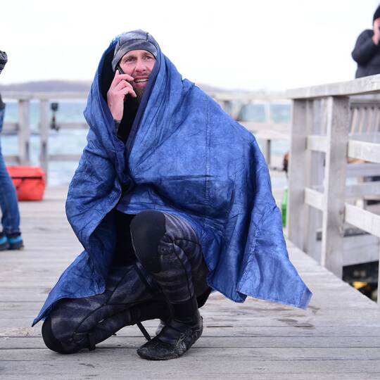 Wal an der Ostseeküste gestrandet