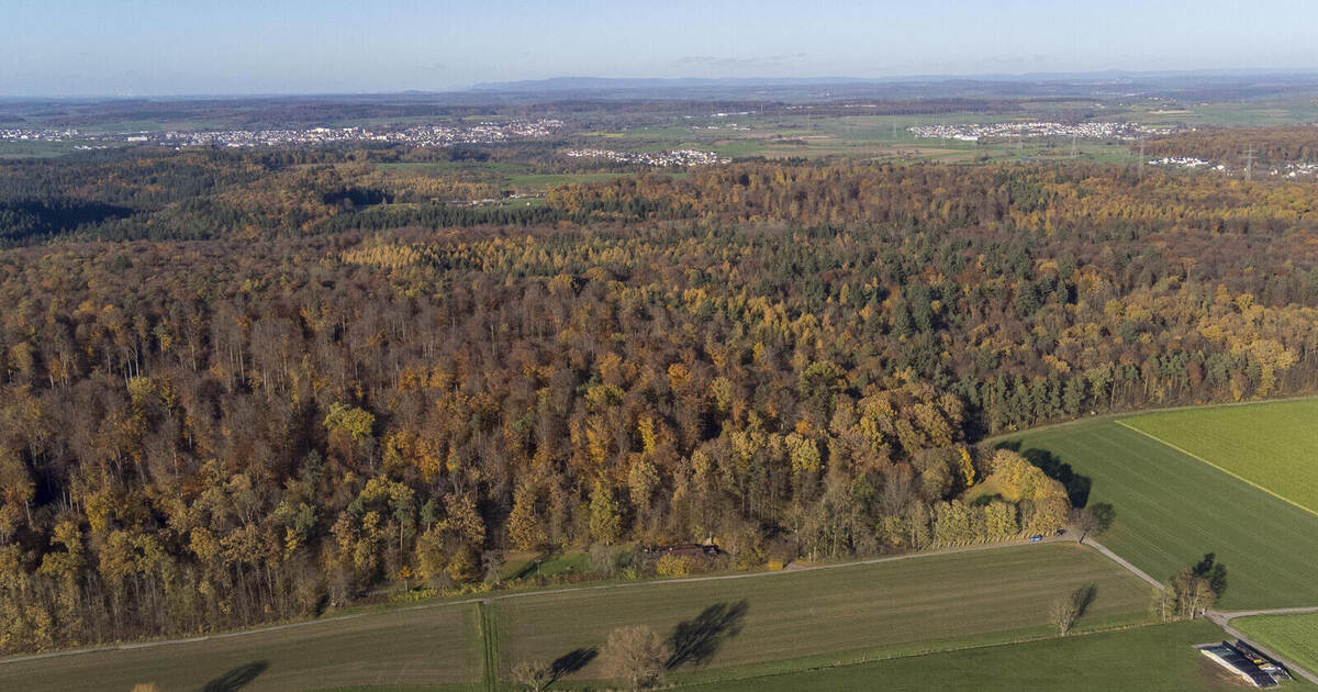 Dispute with neighboring municipality: Wind farm conflict in Neulingen ...