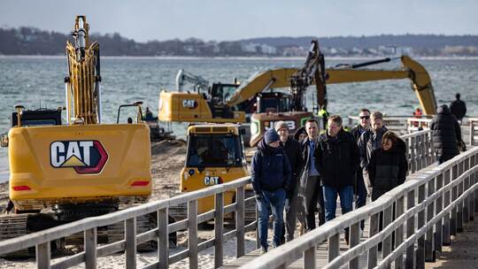 Wal an der Ostseeküste gestrandet Wal an der Ostseeküste gestrandet