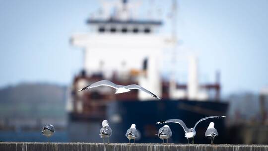 Wetter in Mecklenburg-Vorpommern