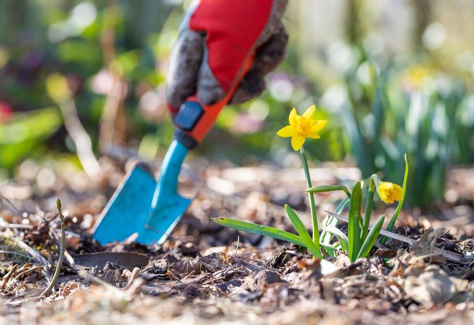 Tipps zur Zeitumstellung Tipps zur Zeitumstellung