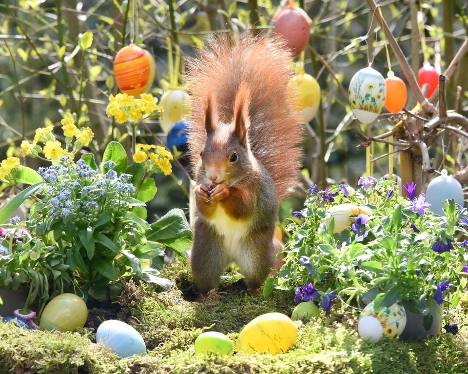 Tipps zur Zeitumstellung Tipps zur Zeitumstellung