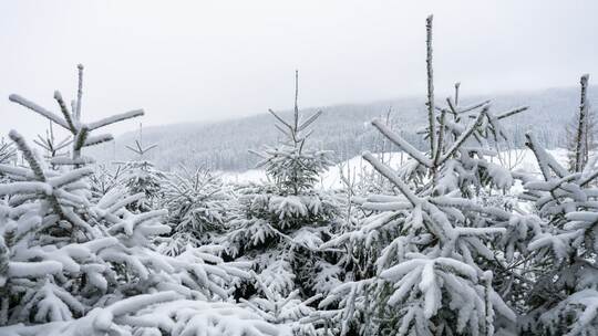 Wetter in Baden-Württemberg Wetter in Baden-Württemberg