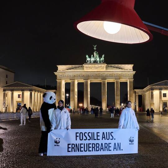 "Earth Hour" - Berlin