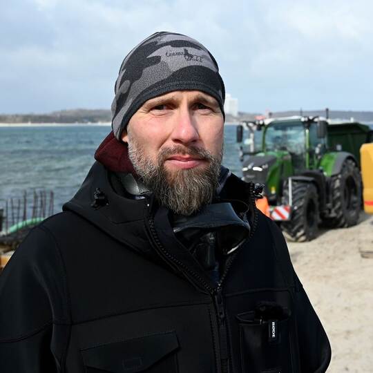 Wal an der Ostseeküste gestrandet