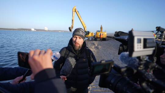 Wal an der Ostseeküste gestrandet