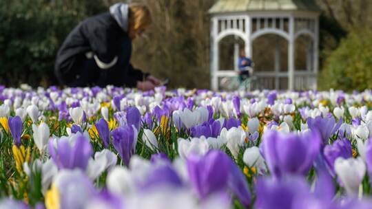 Frühlingserwachen - März-Bilanz DWD