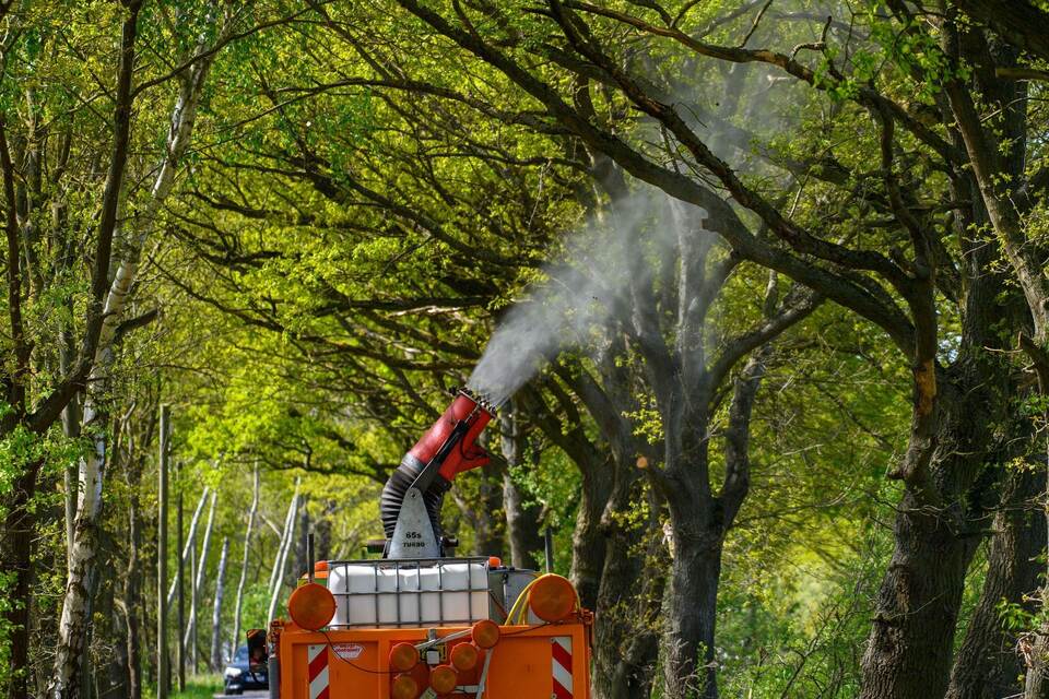 Bekämpfung von Raupen