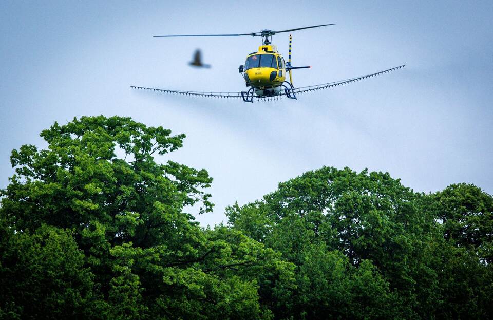 Bekämpfung Eichenprozessionsspinner