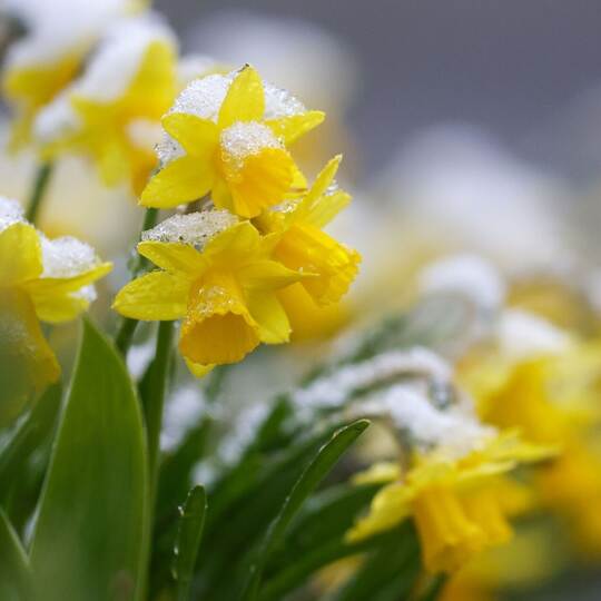 Wetter in Baden-Württemberg