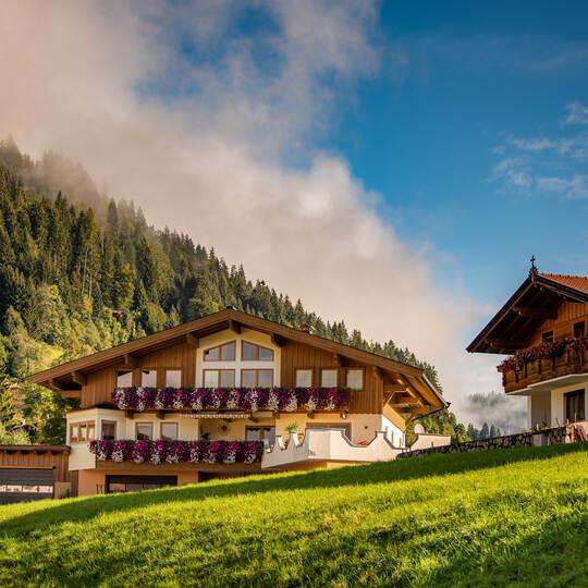 Guesthouse in calm place, mountains and nature, Austria, tourism concept