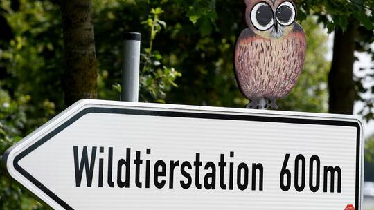Wildtierstation Sachsenhagen (Archivbild)