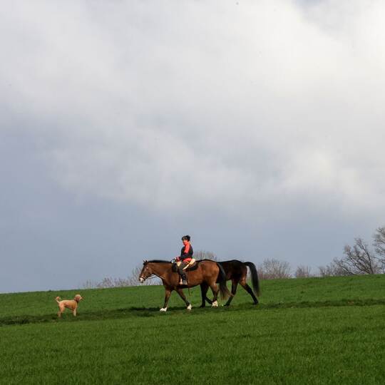 Wetter in Baden-Württemberg