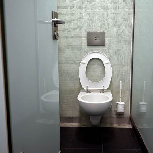 Welttoilettentag - Berlins meistgenutzte Toilette