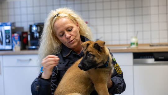 Polizeihundestaffel Hades Pforzheim