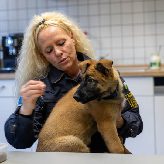Polizeihundestaffel Hades Pforzheim