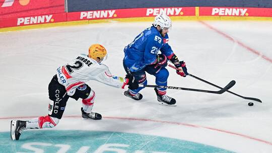 Adler Mannheim - Pinguins Bremerhaven