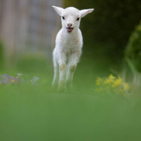 Wetter in Baden-Württemberg