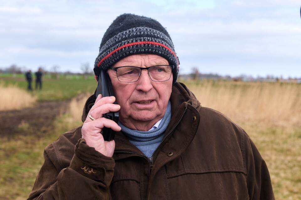 Buckelwal liegt weiter in Wismarbucht