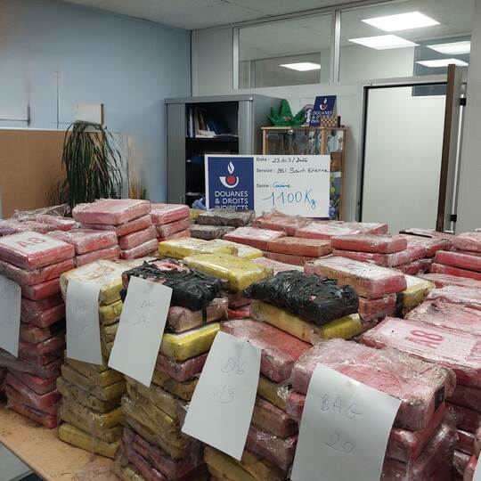 Zoll findet Kokain im Millionenwert in Blumenerde-Laster