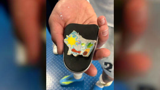 TSG 1899 Hoffenheim - FSV Mainz 05 TSG 1899 Hoffenheim - FSV Mainz 05