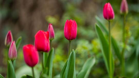 Frühlingswetter in Baden-Württemberg