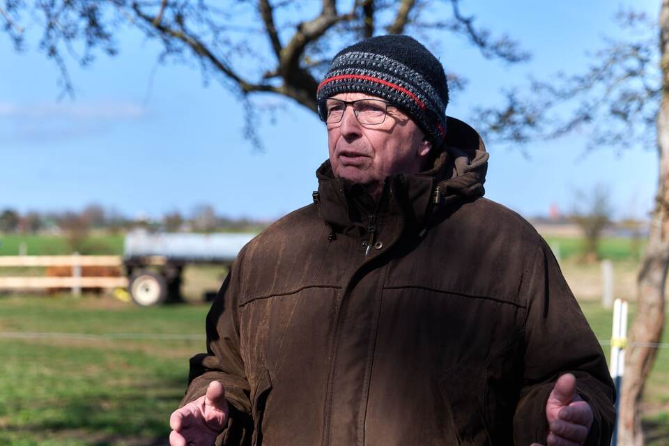 Buckelwal liegt weiter in Wismarbucht