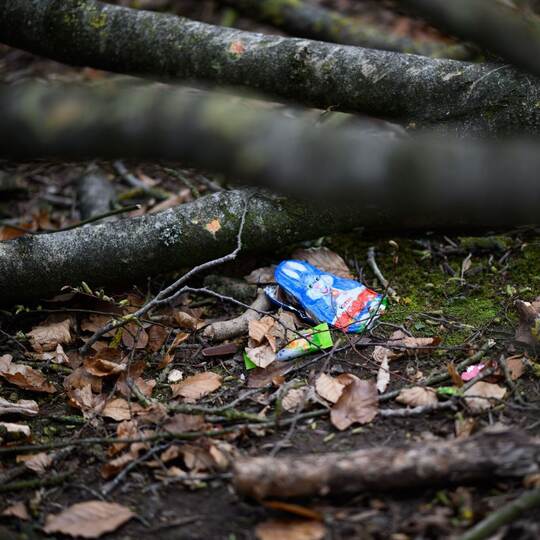 Baum umgestürzt - Drei Tote bei Flensburg