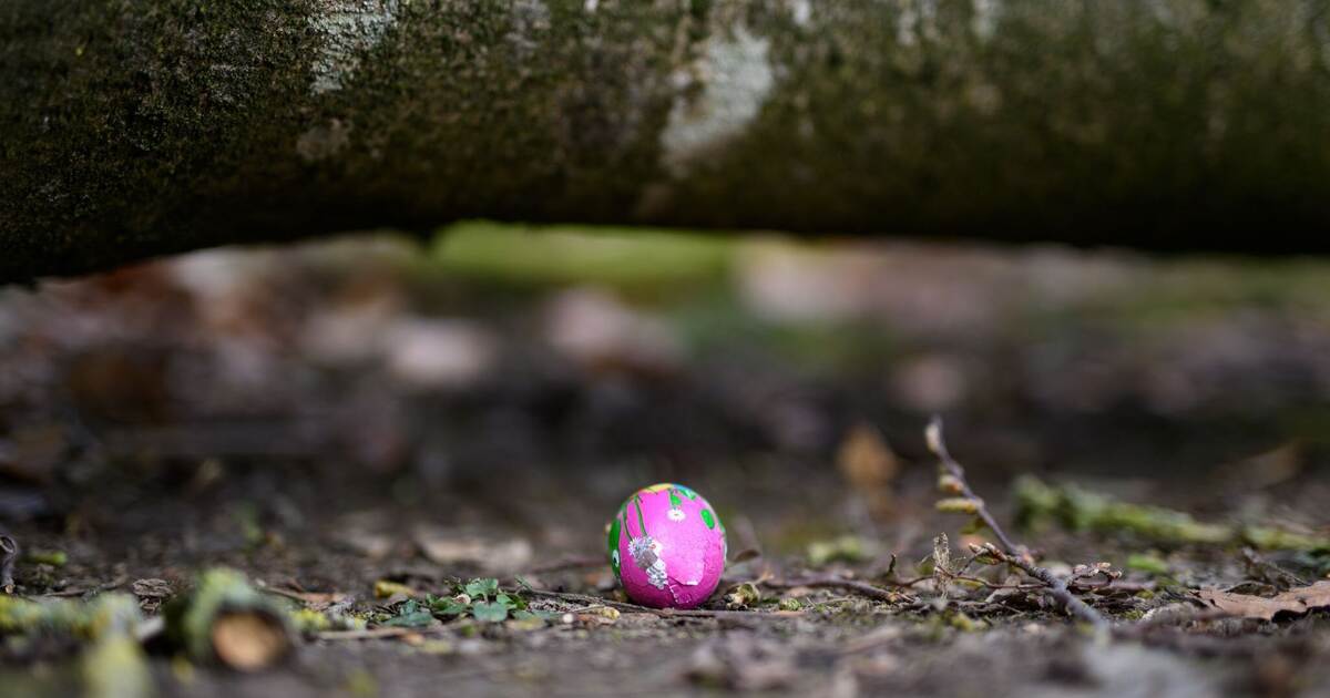 Three people die during Easter egg hunt in the north.