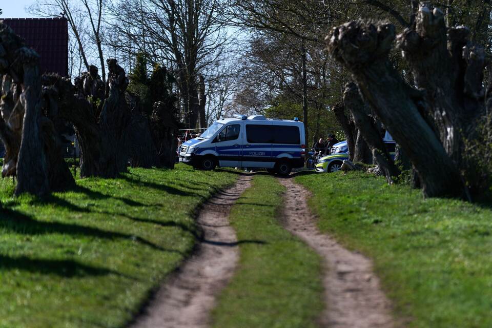 Buckelwal liegt weiter in Wismarbucht Buckelwal liegt weiter in Wismarbucht