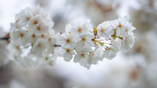Frühlingswetter in Baden-Württemberg Frühlingswetter in Baden-Württemberg