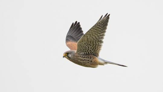 Wetter in Baden-Württemberg